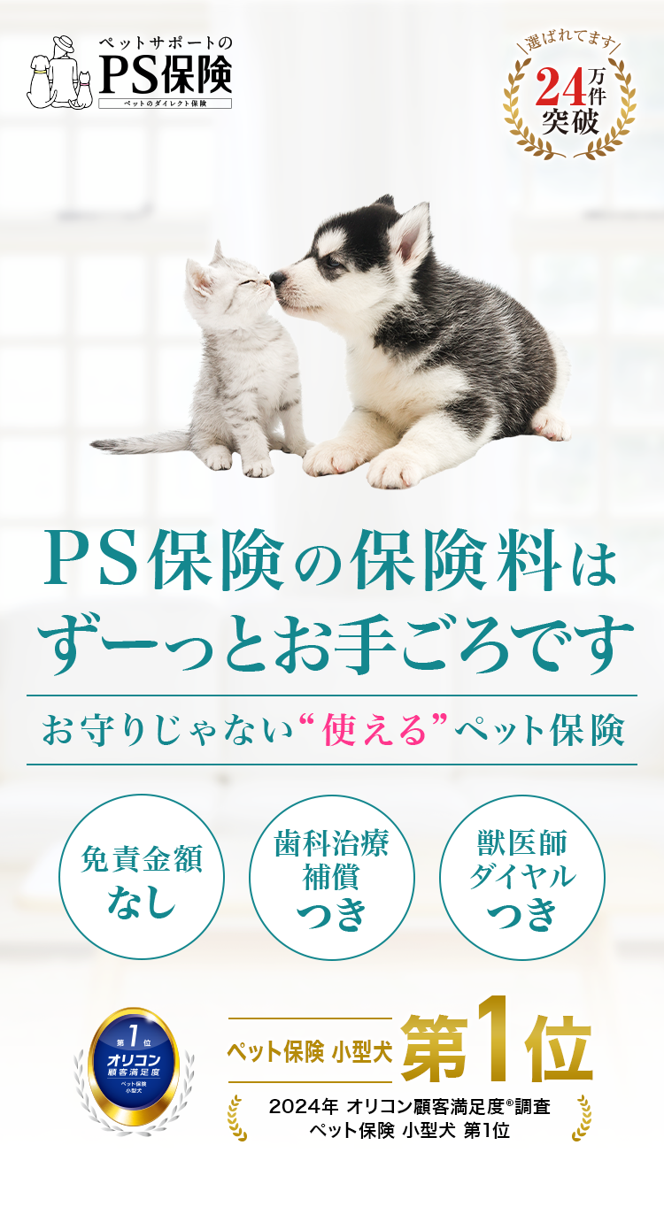 PS保険の保険料はずーっとお手頃です