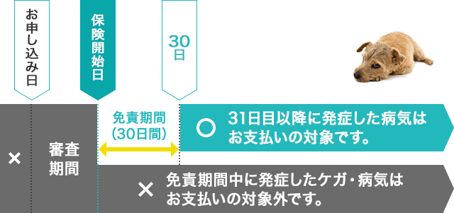 免責期間イメージ_免責期間のある場合